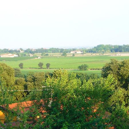Agriturismo Lupo Bianco Monzambano Luaran gambar