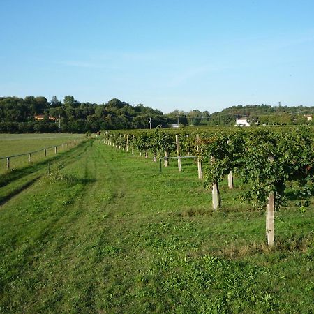 Agriturismo Lupo Bianco Monzambano Luaran gambar