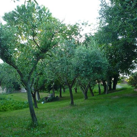 Agriturismo Lupo Bianco Monzambano Luaran gambar