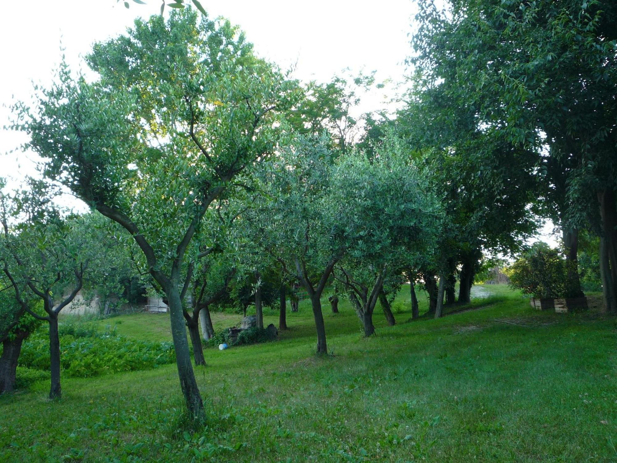 Agriturismo Lupo Bianco Monzambano Luaran gambar